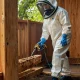 Pest Control in Philippines