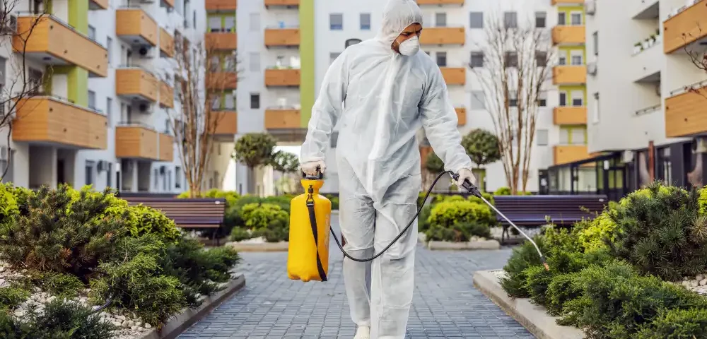 Affordable pest control Philippines