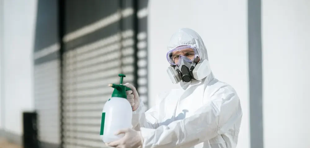 Pest Control in the Philippines