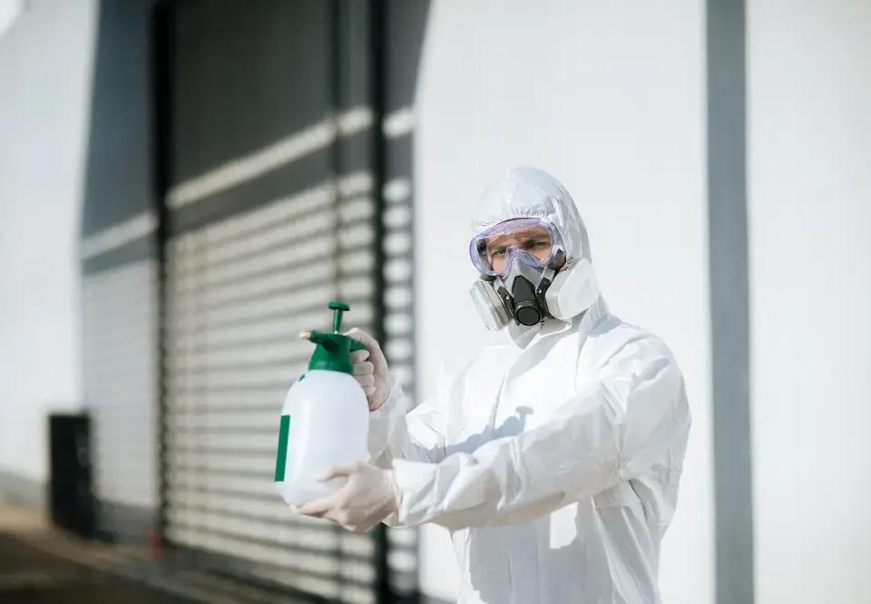 Pest Control in the Philippines