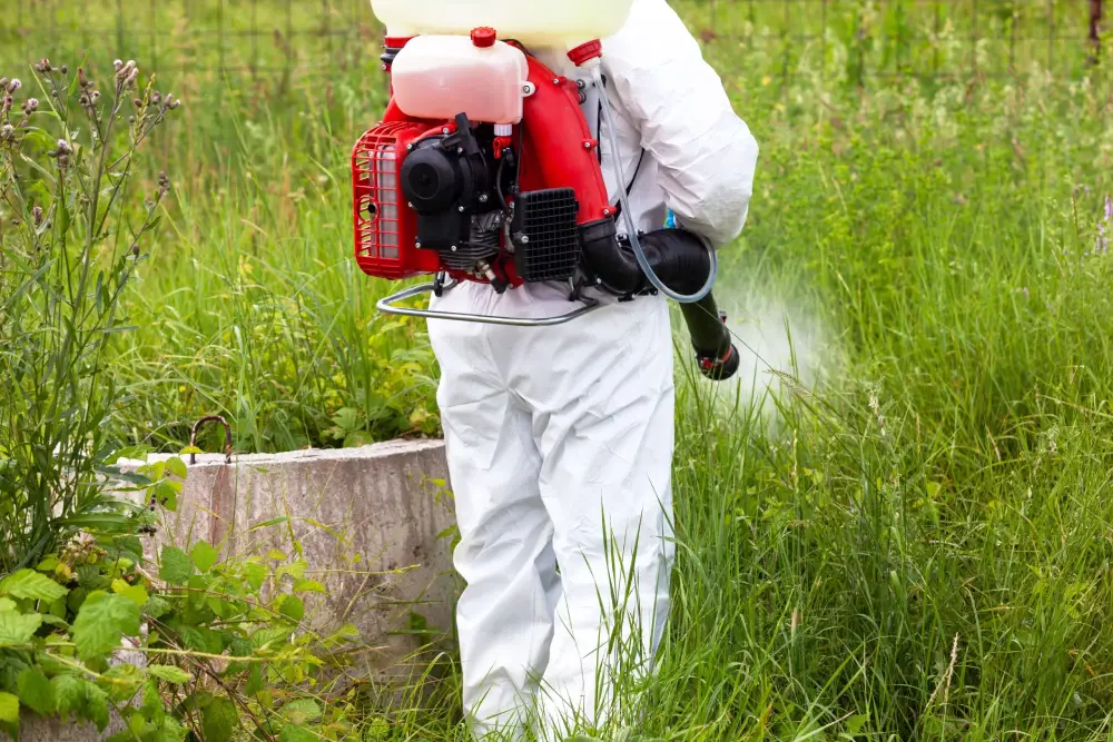 Philippines Pest Control